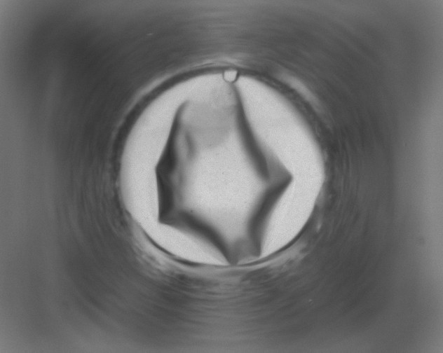 X0000081351308200702082244