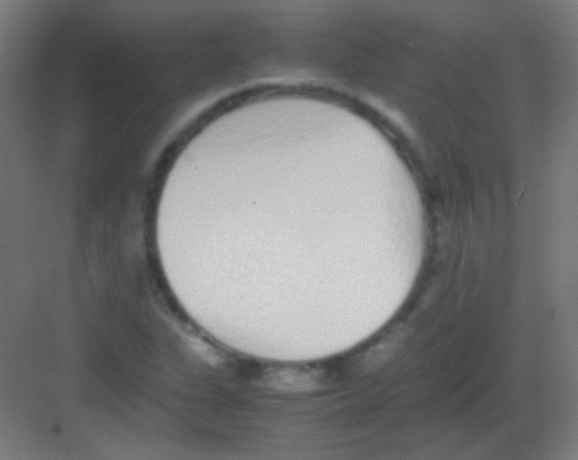 X0000081351311200702082244