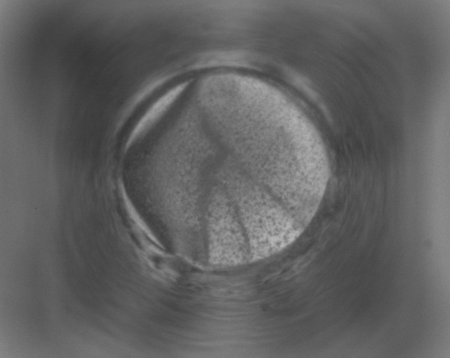 X0000081351312200702082244