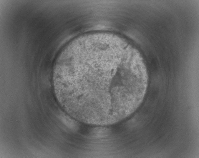 X0000081351314200702082244