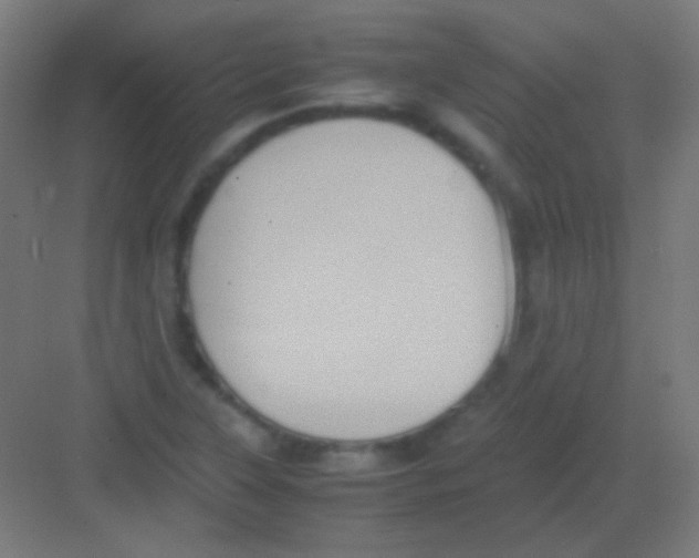 X0000081351315200702082244