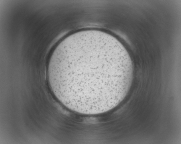 X0000081351317200702082244