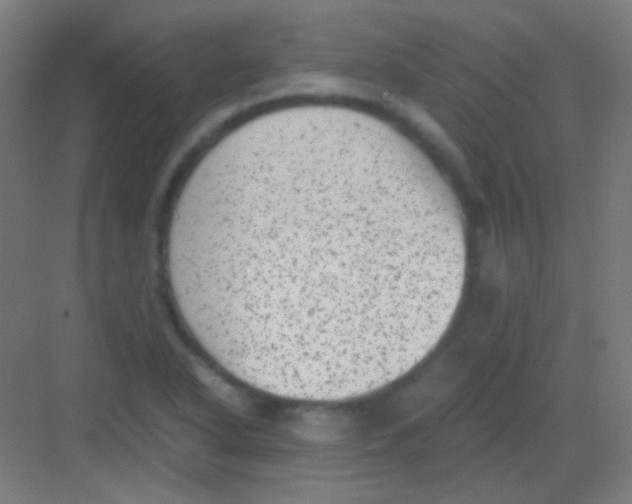 X0000081351318200702082244