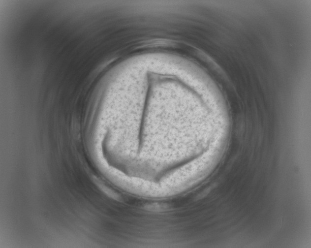 X0000081351321200702082244