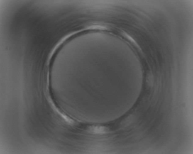 X0000081351323200702082244