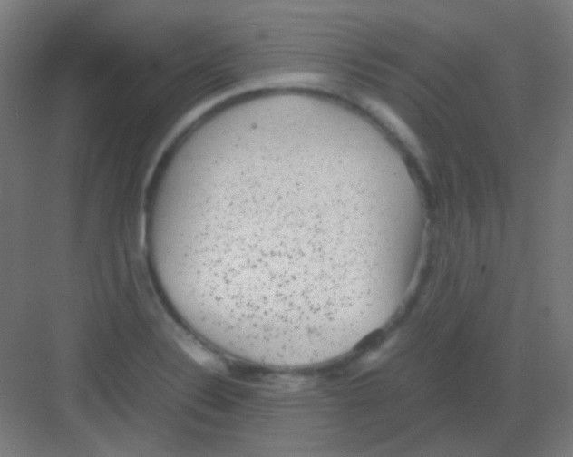 X0000081351324200702082244