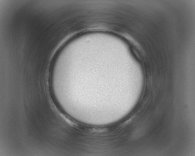 X0000081351325200702082244