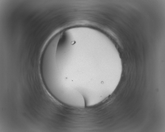 X0000081351326200702082244