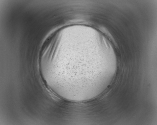 X0000081351328200702082244