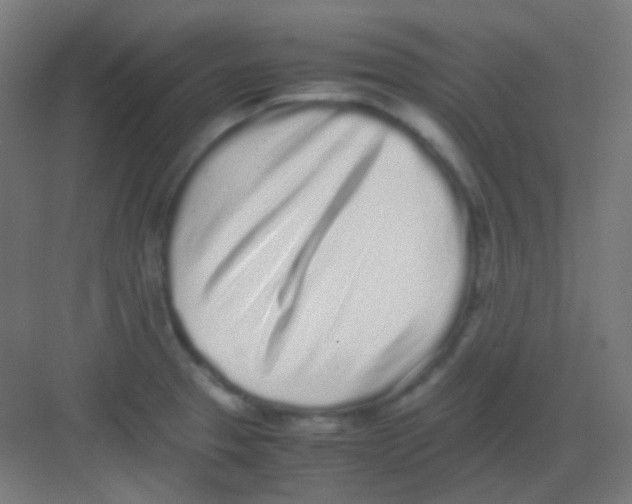 X0000081351329200702082244