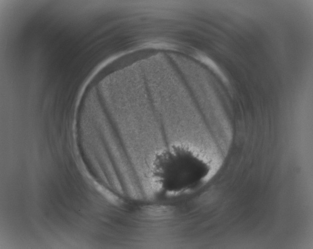 X0000081351331200702082244