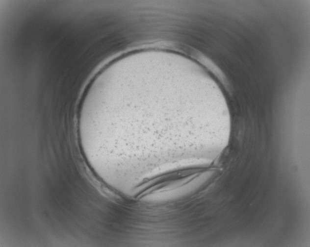 X0000081351332200702082244