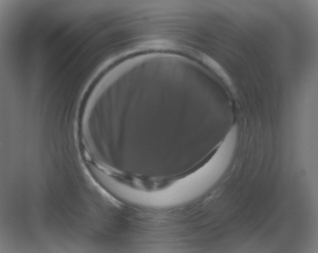 X0000081351334200702082244