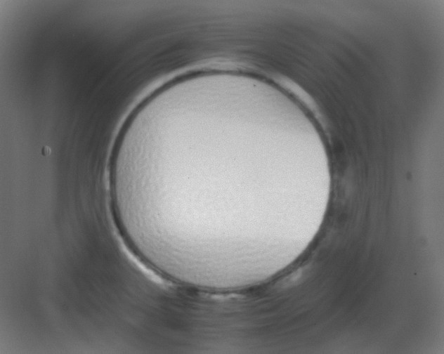 X0000081351335200702082244