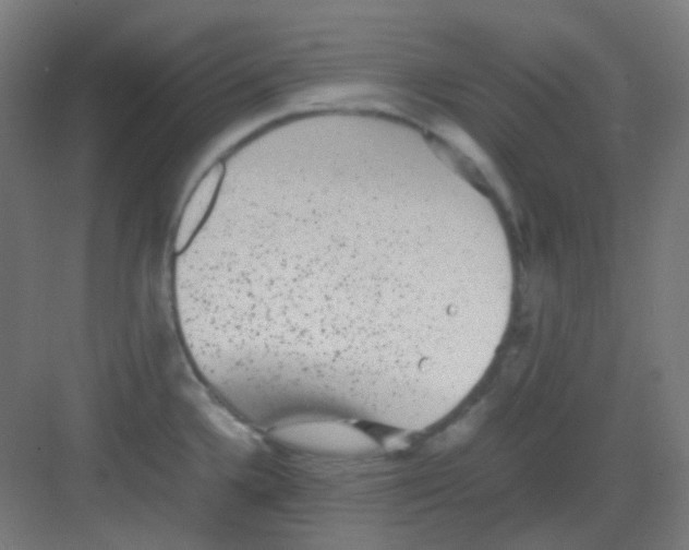 X0000081351336200702082244