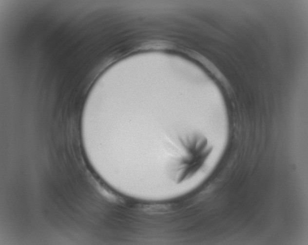 X0000081351337200702082244