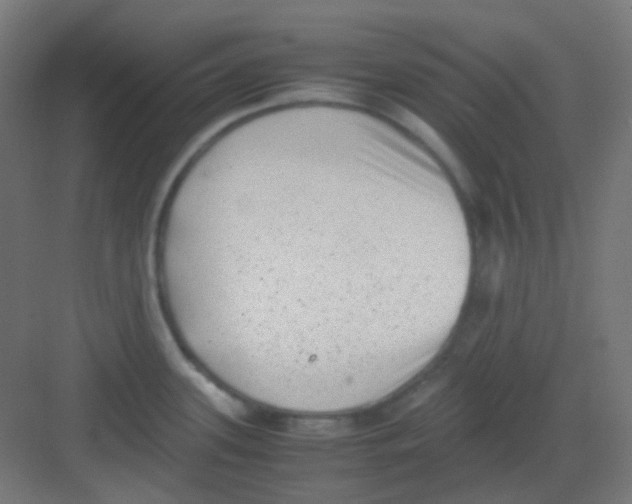 X0000081351339200702082245