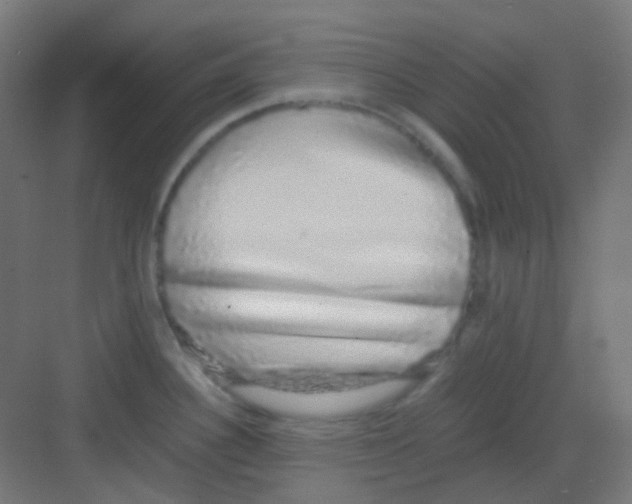 X0000081351340200702082245