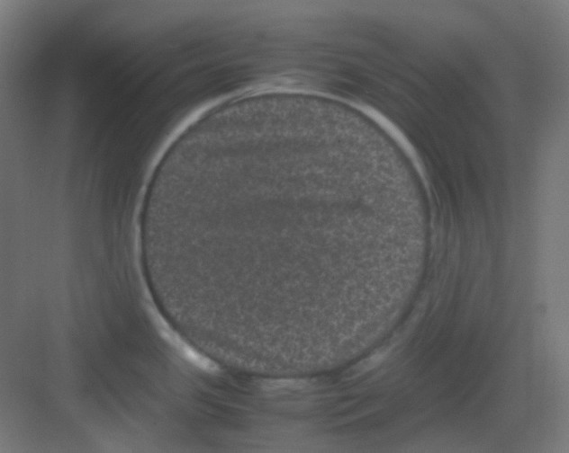 X0000081351341200702082245