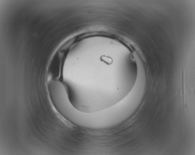 X0000081351342200702082245