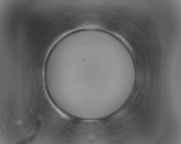 X0000081351343200702082245