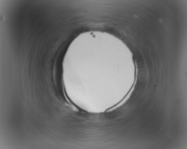 X0000081351345200702082244