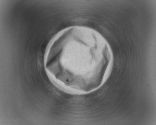 X0000081351346200702082244