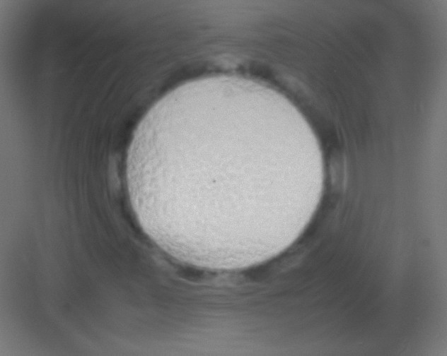 X0000081351347200702082244