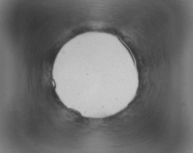 X0000081351349200702082244