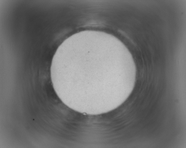 X0000081351350200702082244