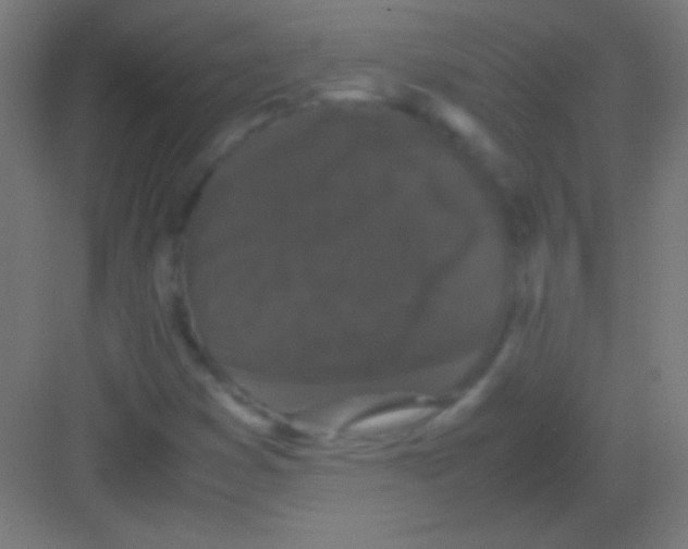 X0000081351353200702082244