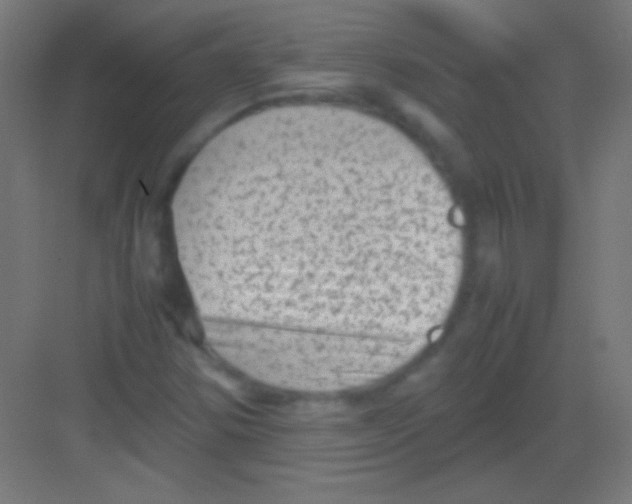 X0000081351354200702082244