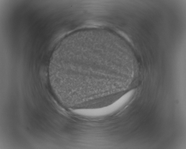 X0000081351355200702082244