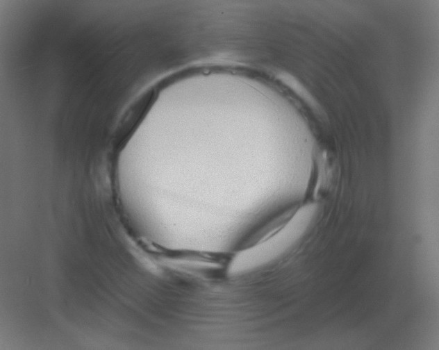 X0000081351356200702082244