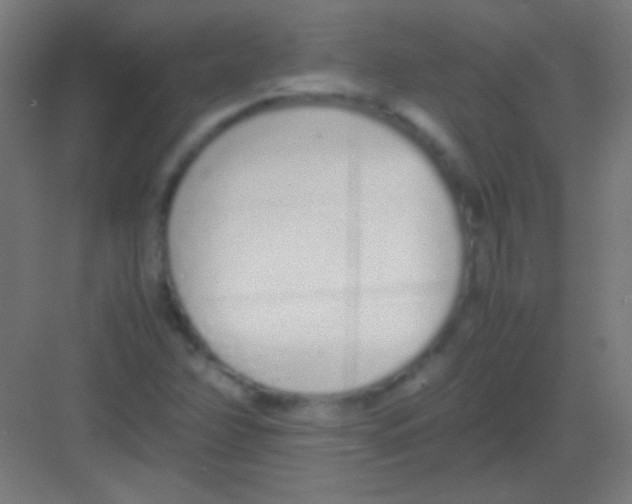 X0000081351358200702082244