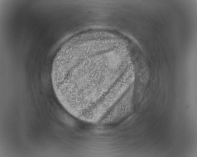 X0000081351359200702082244