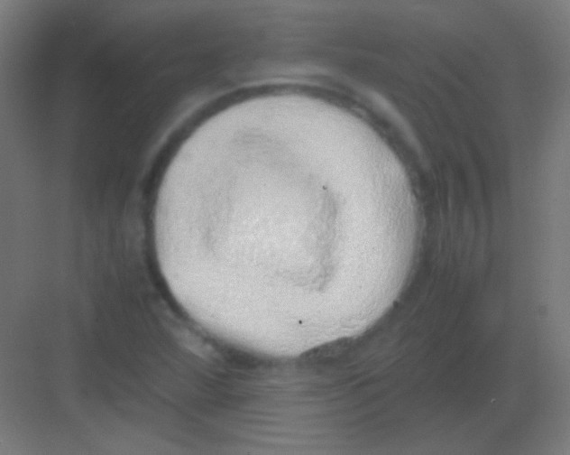 X0000081351360200702082244