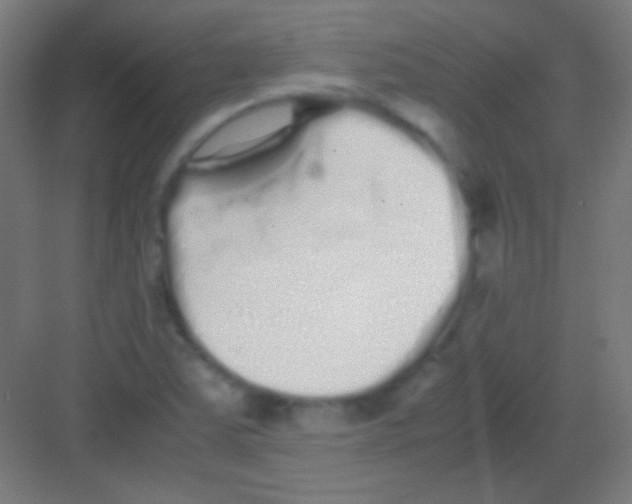 X0000081351363200702082244