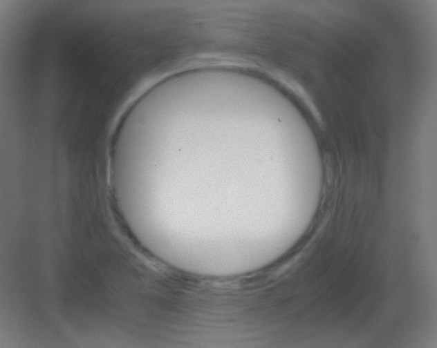 X0000081351365200702082243