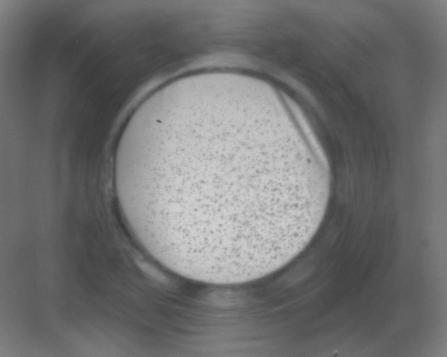 X0000081351366200702082243