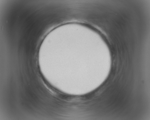 X0000081351367200702082243