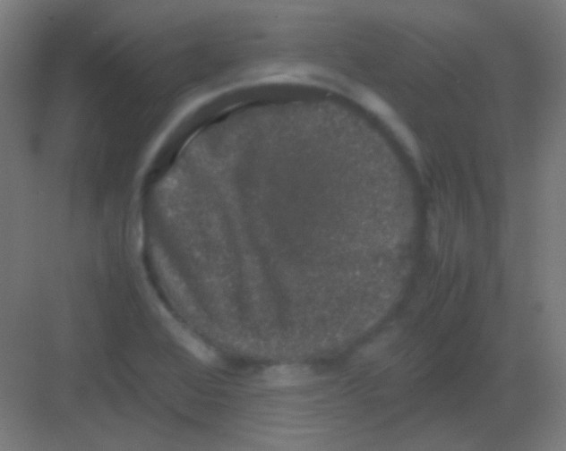 X0000081351368200702082243