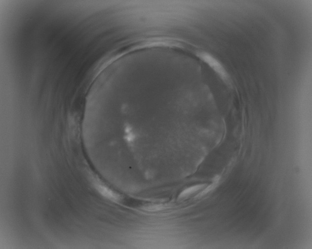 X0000081351369200702082243