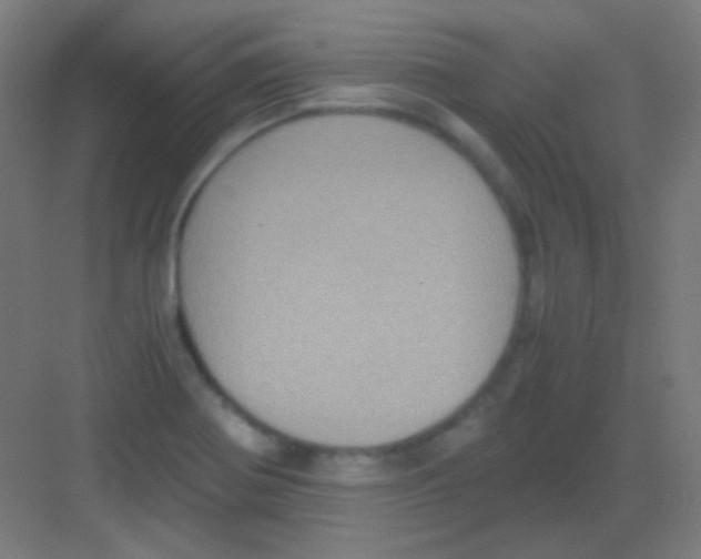 X0000081351370200702082243