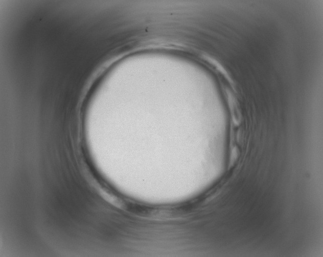 X0000081351371200702082243