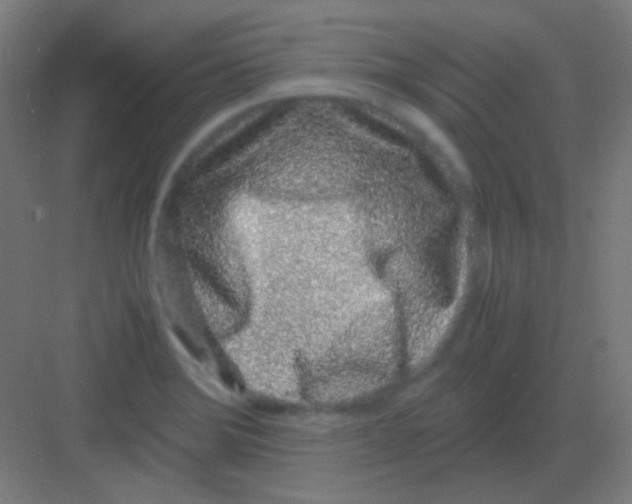 X0000081351372200702082243