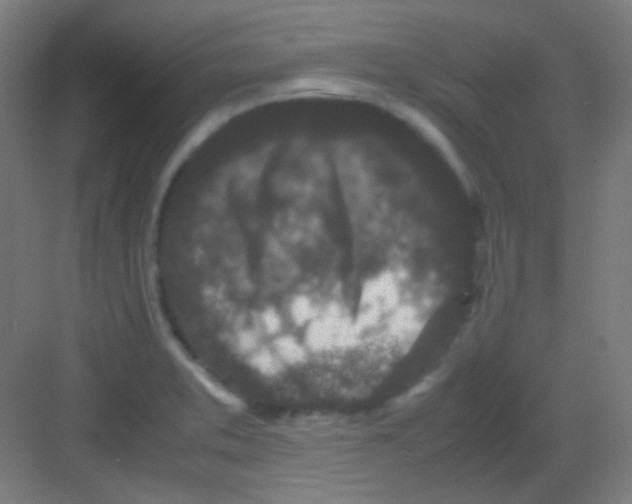 X0000081351373200702082243