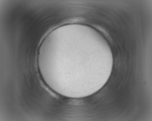 X0000081351374200702082243