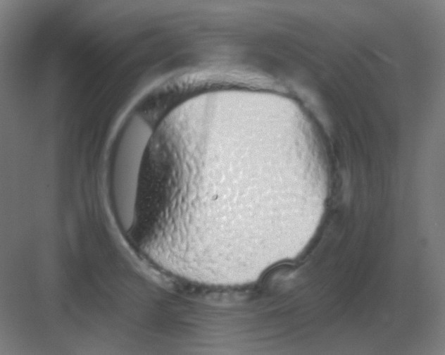 X0000081351376200702082243