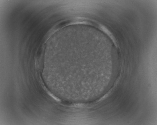 X0000081351377200702082243